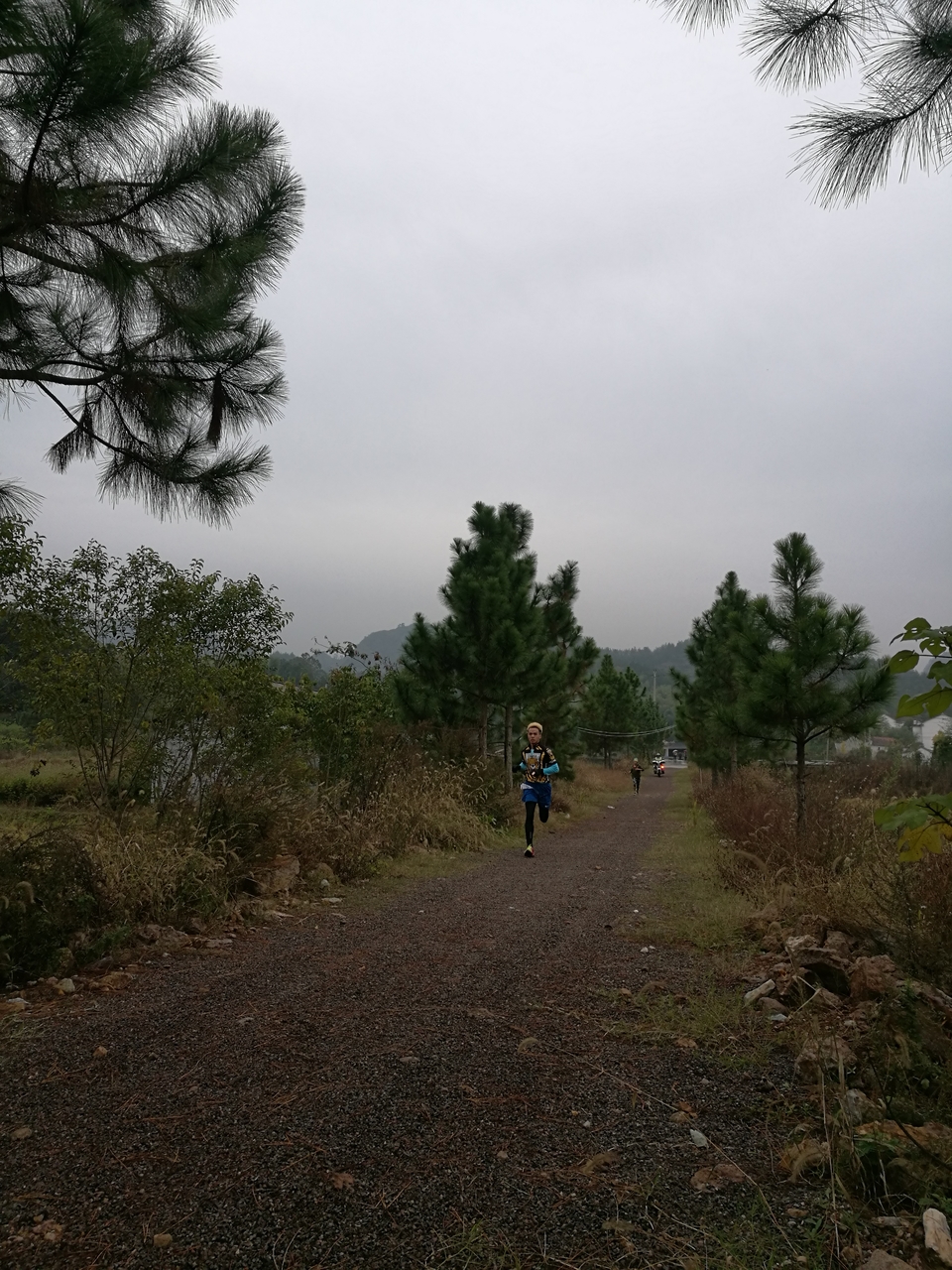 微信图片_20171126123105