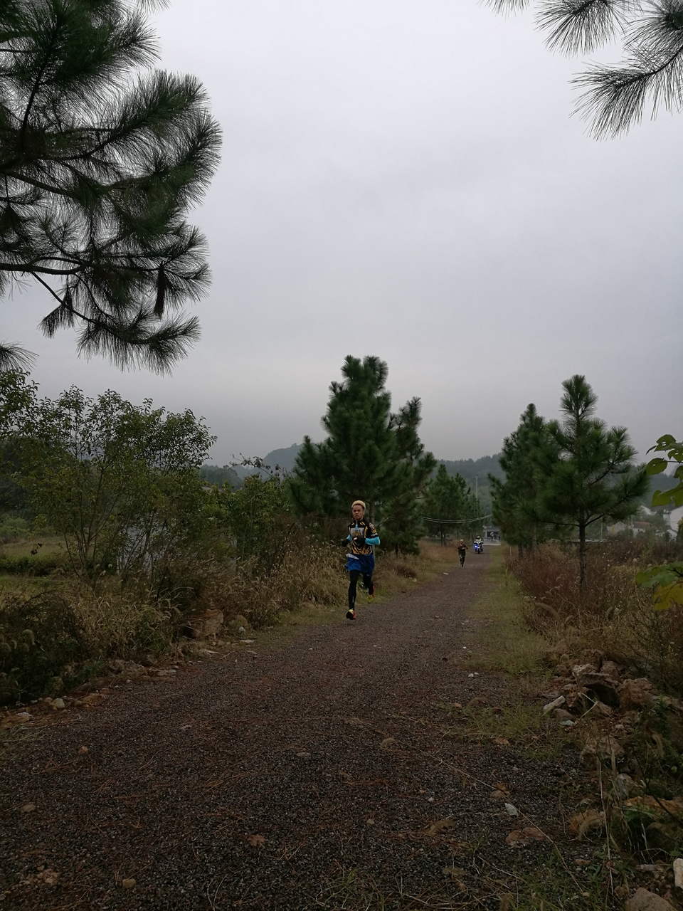 微信图片_20171126123108