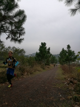 微信图片_20171126123126