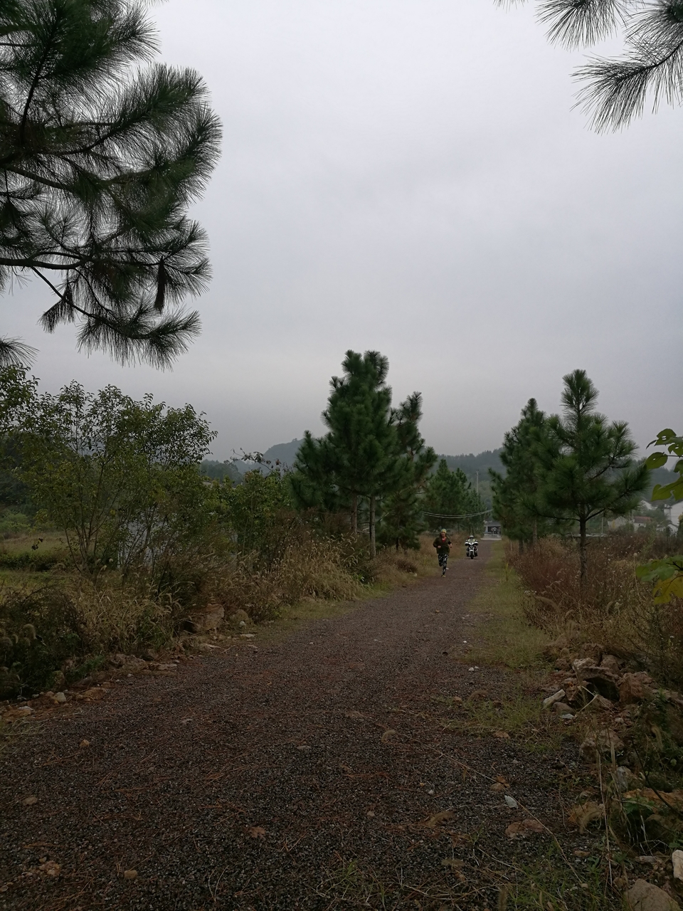 微信图片_20171126123130