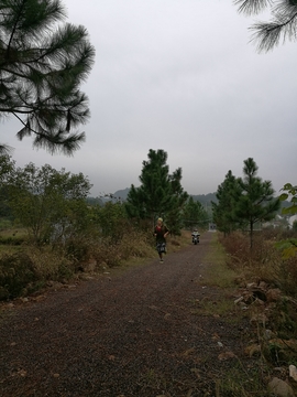 微信图片_20171126123319