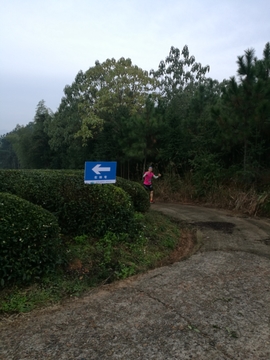 微信图片_20171126123847