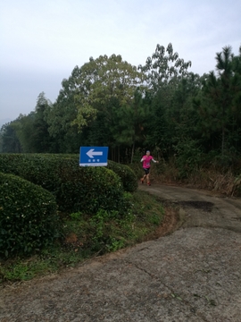 微信图片_20171126123851