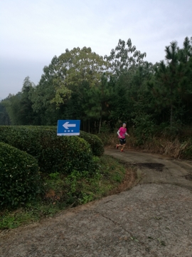 微信图片_20171126123900