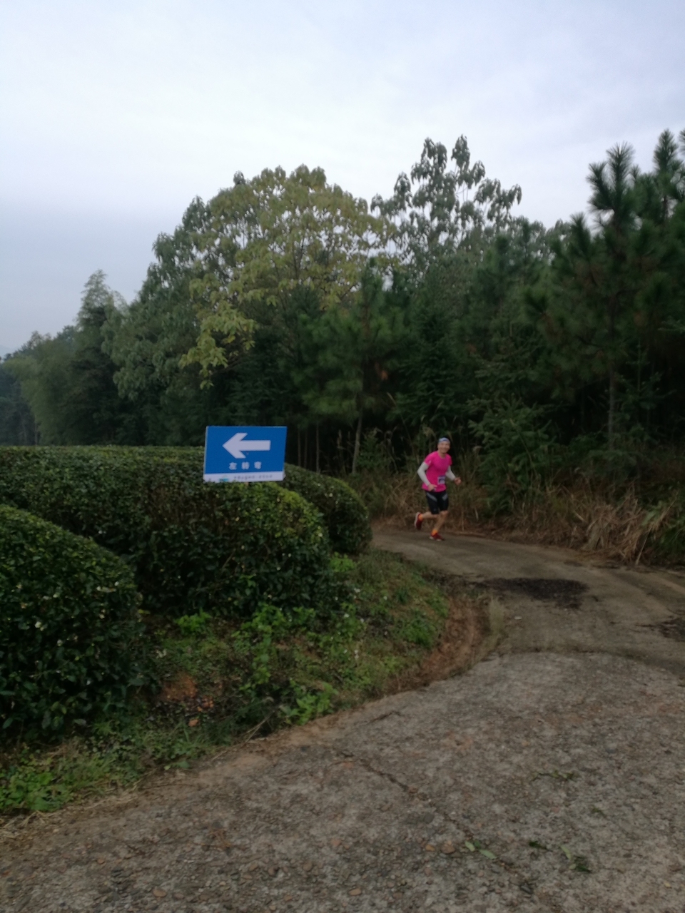 微信图片_20171126123900