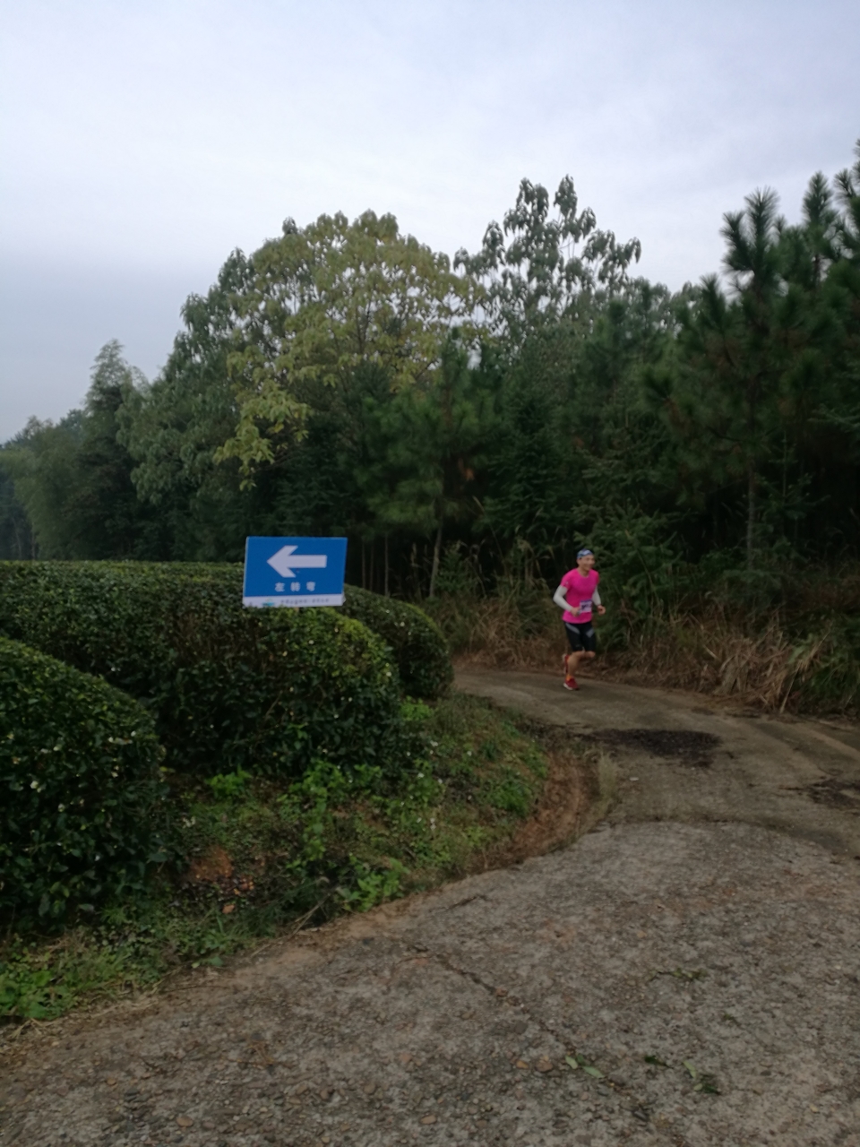 微信图片_20171126123903