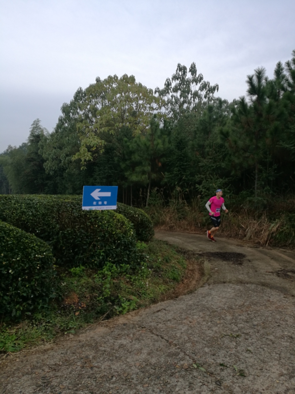 微信图片_20171126123911