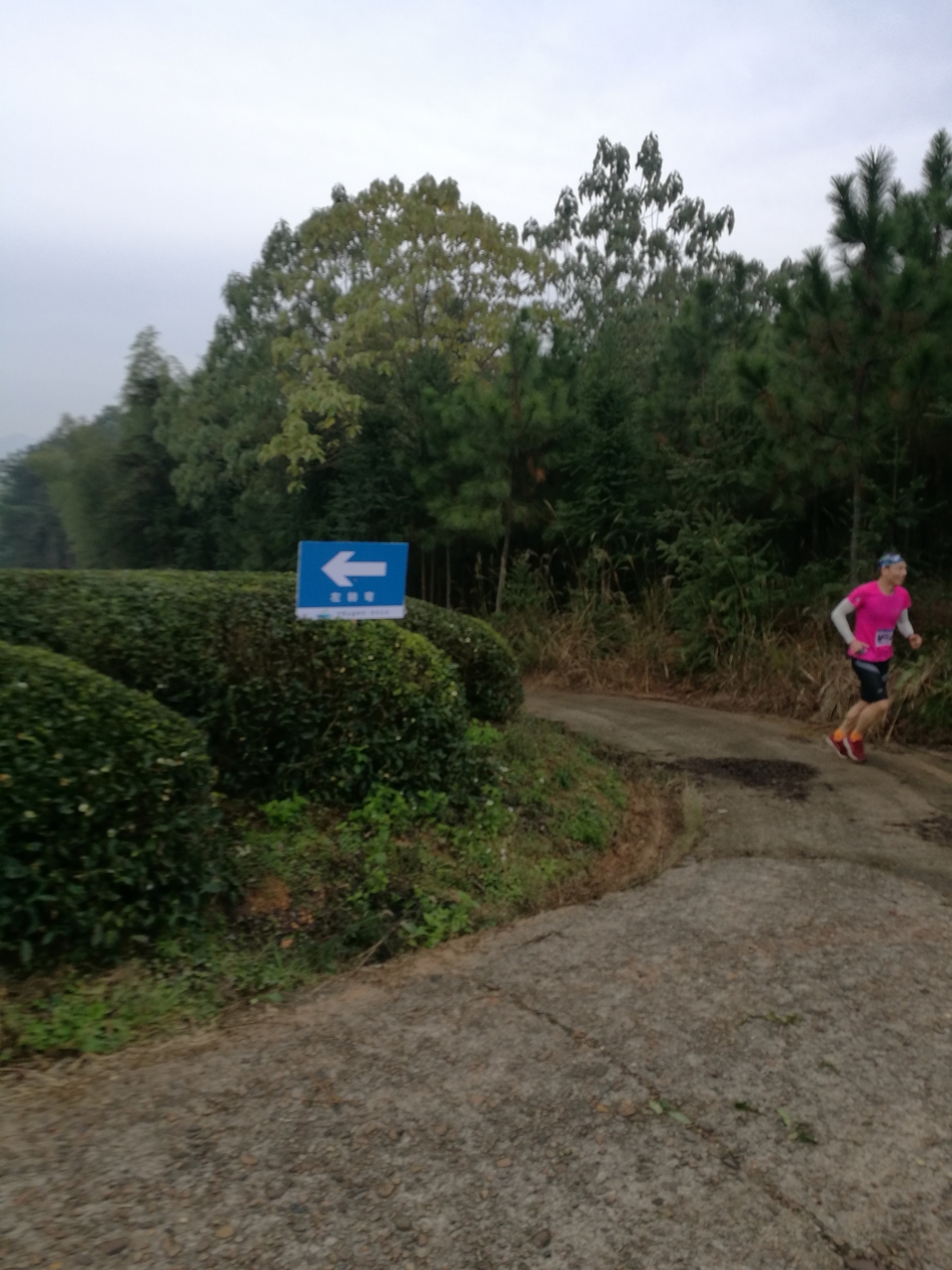 微信图片_20171126123916