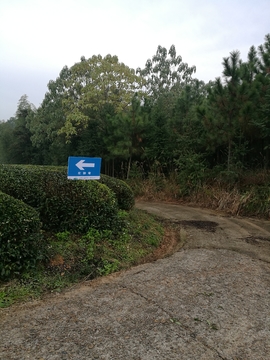 微信图片_20171126123922