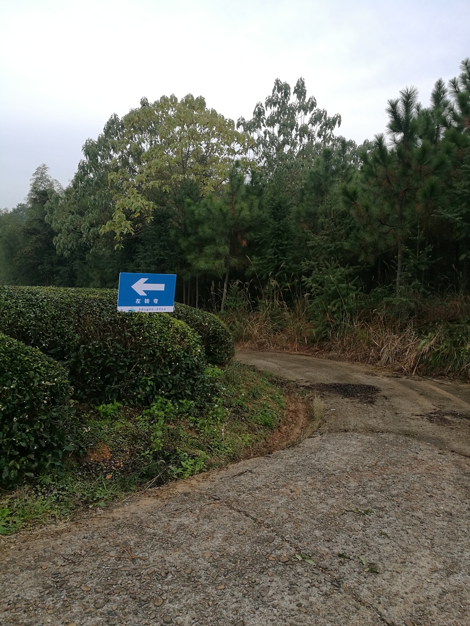 微信图片_20171126123922