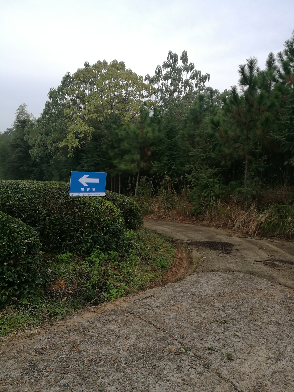 微信图片_20171126123925