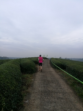 微信图片_20171126124027