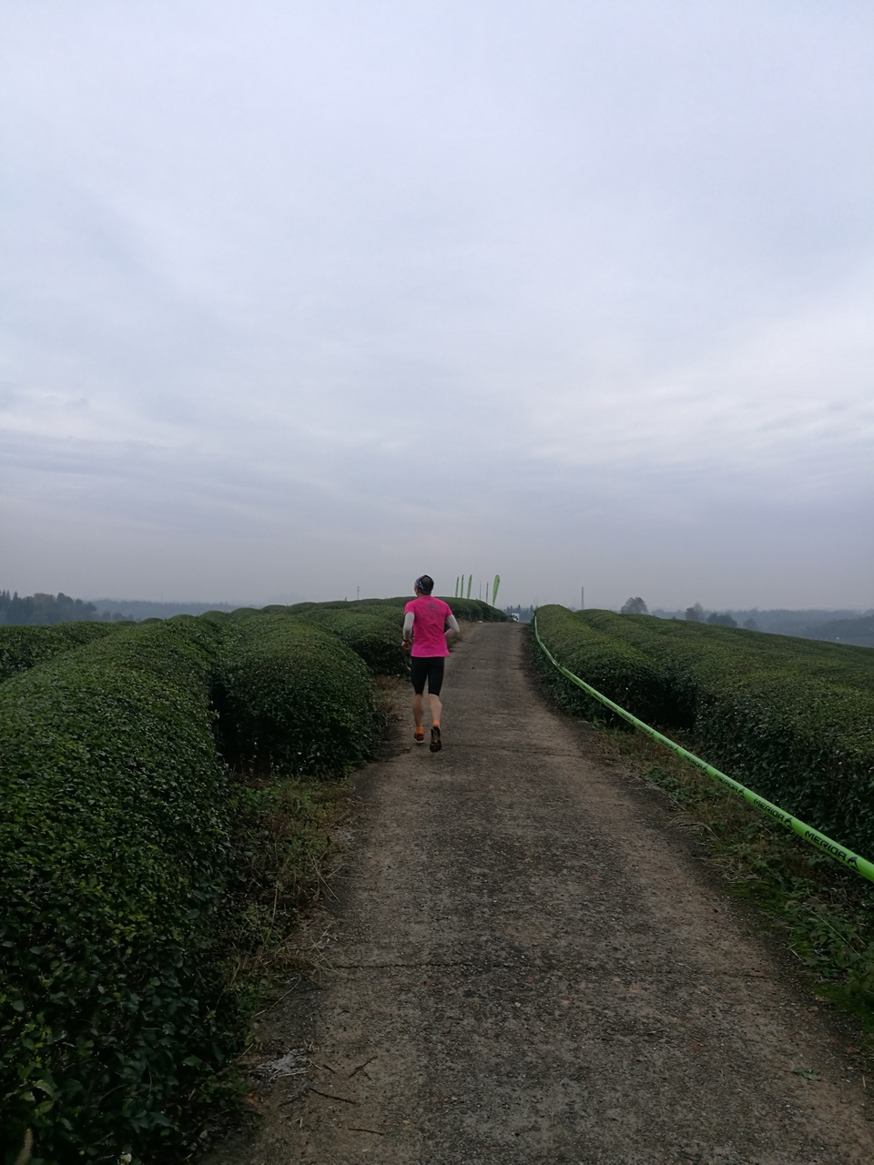 微信图片_20171126124027