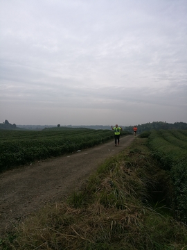 微信图片_20171126124047