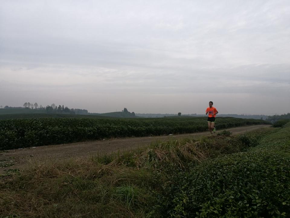 微信图片_20171126124059