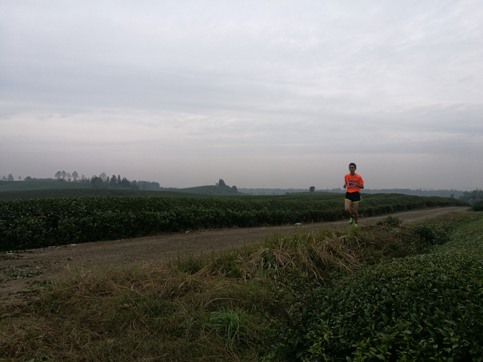 微信图片_20171126124102