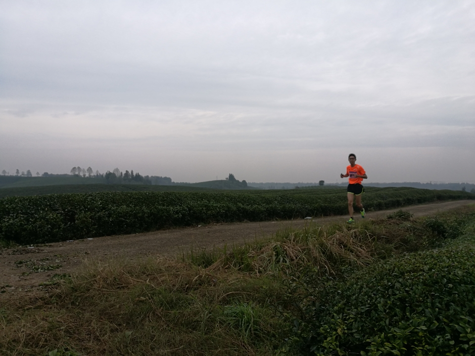 微信图片_20171126124105