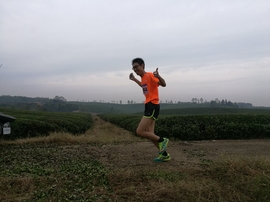 微信图片_20171126124617