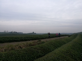 微信图片_20171126124622