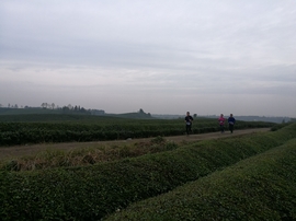 微信图片_20171126124625