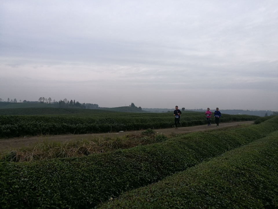 微信图片_20171126124625