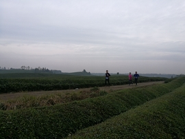 微信图片_20171126124631