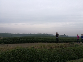 微信图片_20171126124635