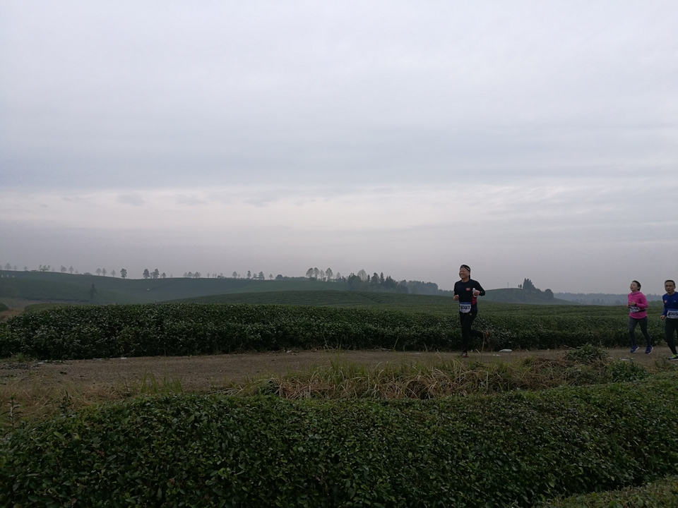 微信图片_20171126124635