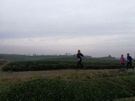 微信图片_20171126124637