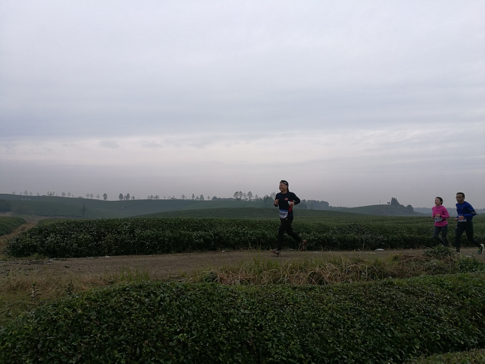 微信图片_20171126124637