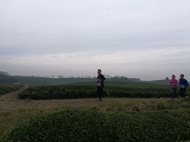 微信图片_20171126124639