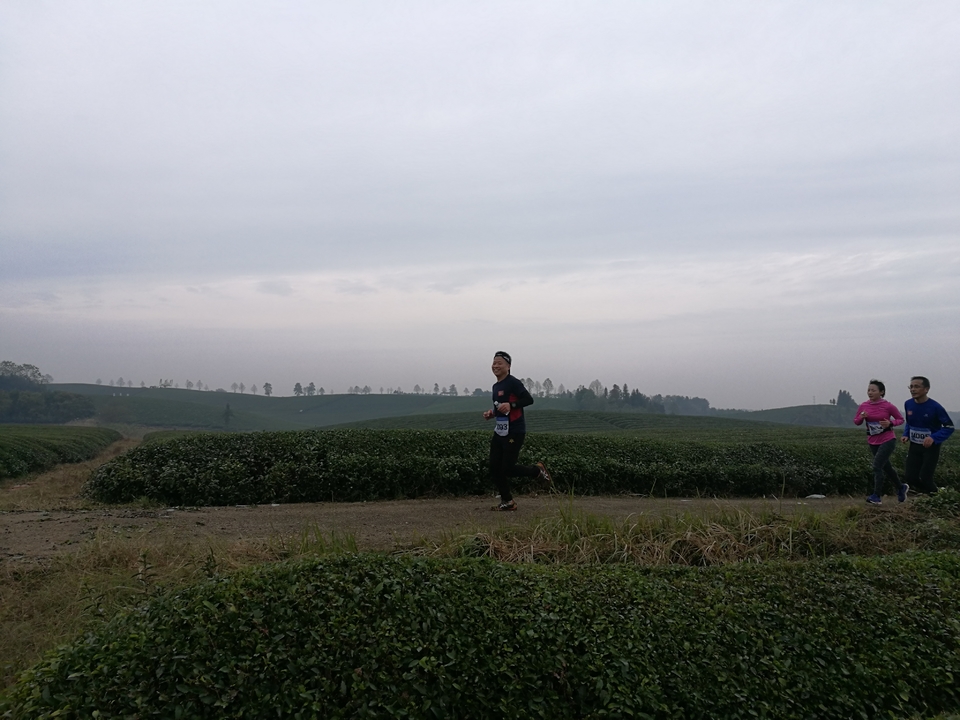 微信图片_20171126124639