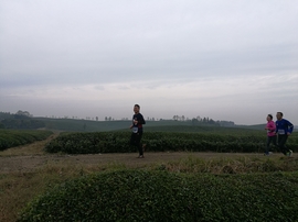 微信图片_20171126124647