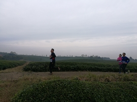 微信图片_20171126124653