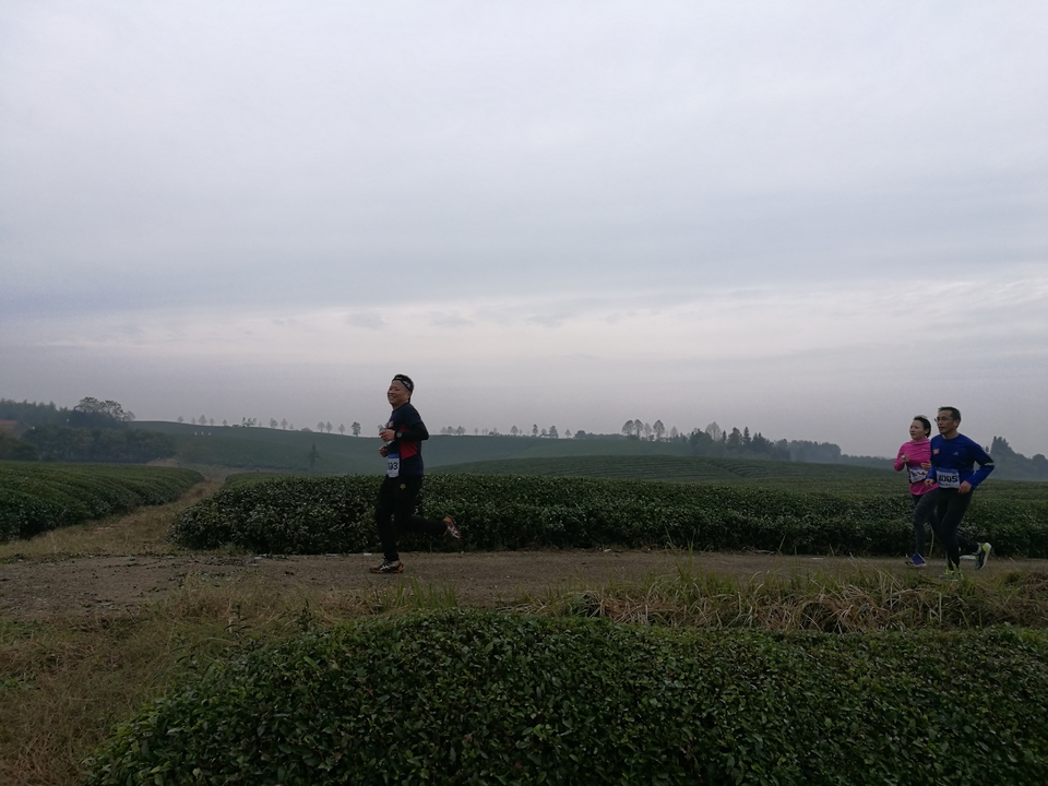 微信图片_20171126124653