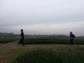 微信图片_20171126124655