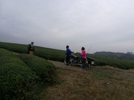 微信图片_20171126124721