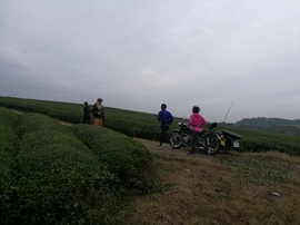 微信图片_20171126124724