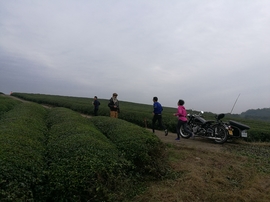 微信图片_20171126124727