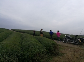 微信图片_20171126124729