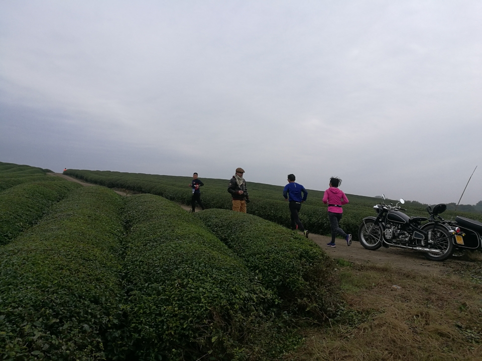 微信图片_20171126124729