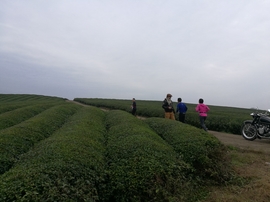 微信图片_20171126124738