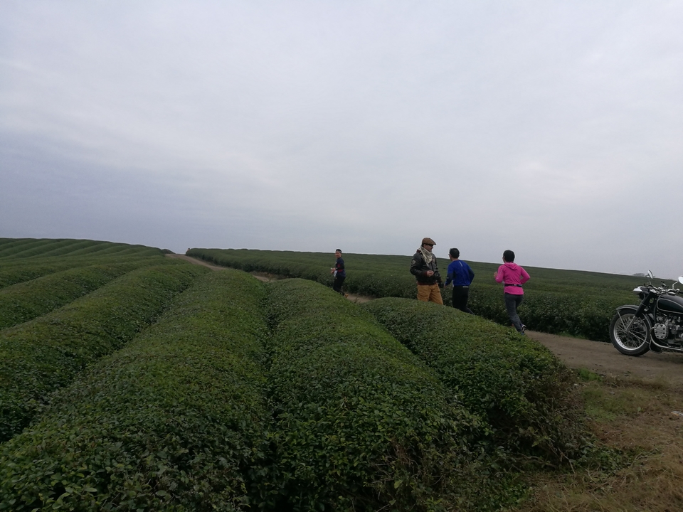 微信图片_20171126124738