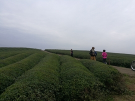 微信图片_20171126124742