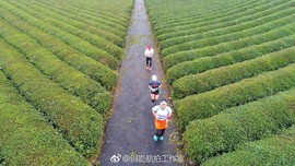 微信图片_20171126125330