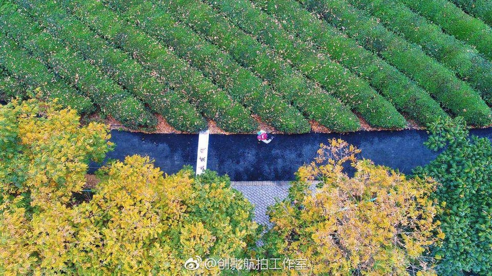 微信图片_20171126125712