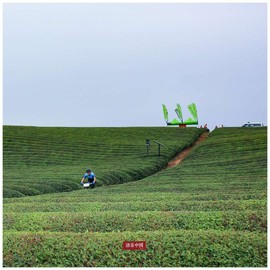 微信图片_20171126125741