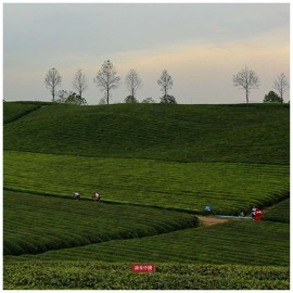 微信图片_20171126125744