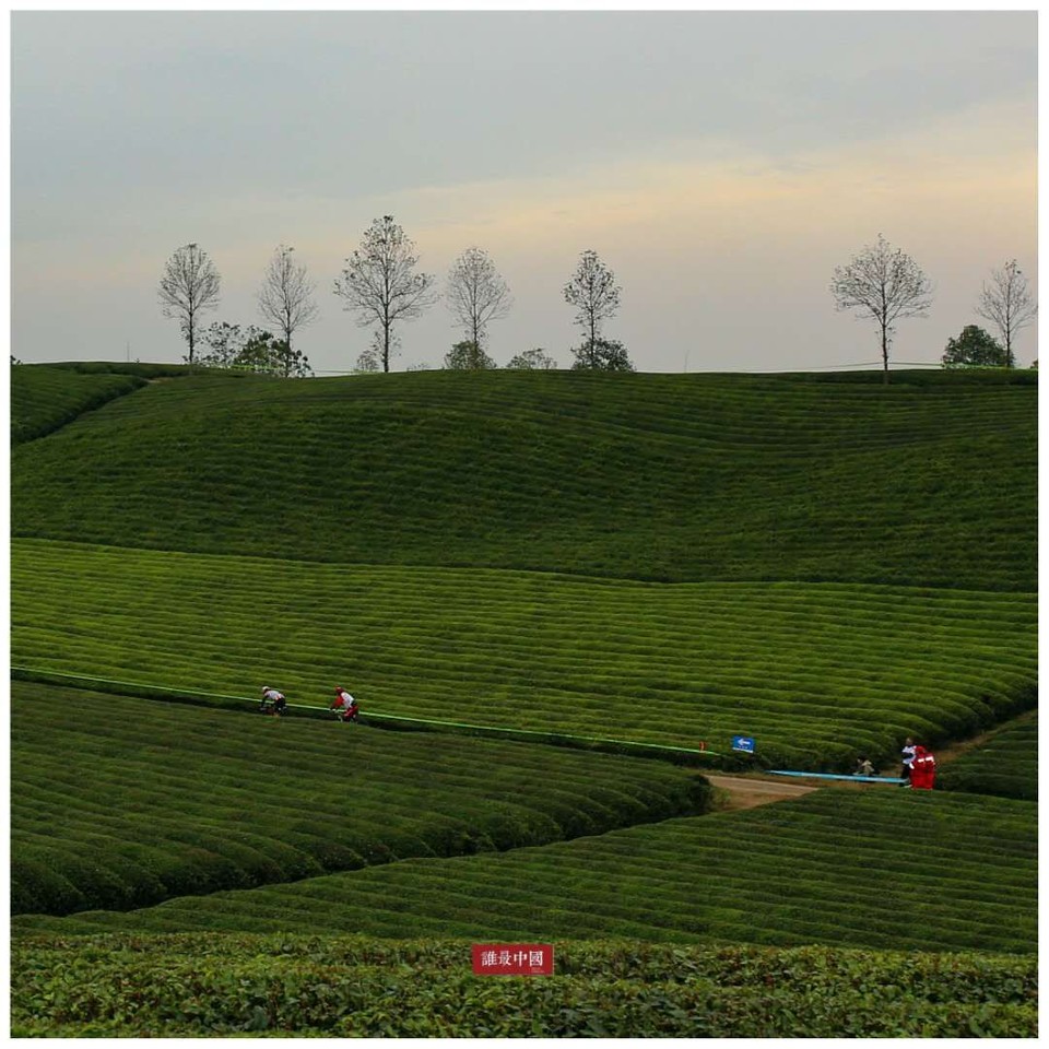 微信图片_20171126125744