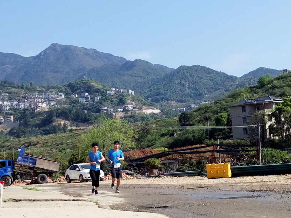 山下曹大樟树IMG_20180331_091319